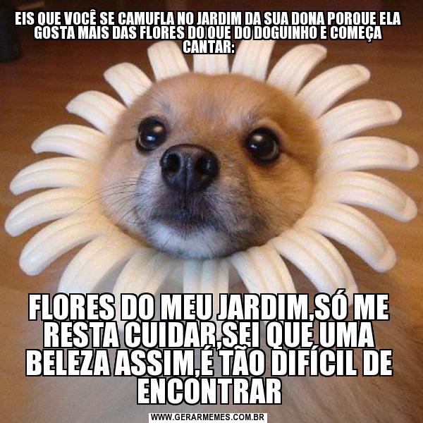 meme flor & tu e mais quanto meme significado, Dis
