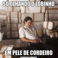 SÓ OLHANDO O LOBINHOEM PELE DE CORDEIRO