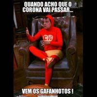 QUANDO ACHO QUE O CORONA VAI PASSAR...VEM OS GAFANHOTOS !