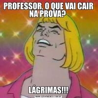 PROFESSOR, O QUE VAI CAIR NA PROVA? LÁGRIMAS!!!