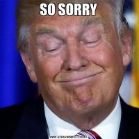 SO SORRY