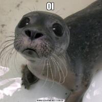 OI