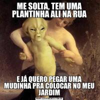 ME SOLTA, TEM UMA PLANTINHA ALI NA RUAE JÁ QUERO PEGAR UMA MUDINHA PRA COLOCAR NO MEU JARDIM