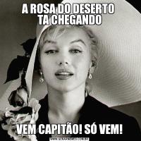 A ROSA DO DESERTO 
TA CHEGANDOVEM CAPITÃO! SÓ VEM!