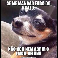 SE ME MANDAR FORA DO PRAZO:NÃO VOU NEM ABRIR O EMAIL HEINNN