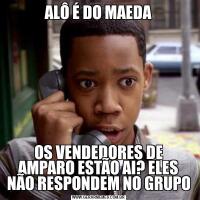 ALÔ É DO MAEDAOS VENDEDORES DE AMPARO ESTÃO AI? ELES NÃO RESPONDEM NO GRUPO
