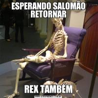 ESPERANDO SALOMÃO RETORNARREX TAMBÉM