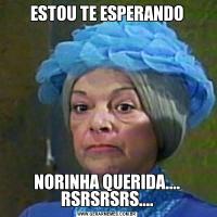 ESTOU TE ESPERANDONORINHA QUERIDA.... RSRSRSRS....
