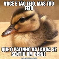 VOCÊ É TÃO FEIO, MAS TÃO FEIOQUE O PATINHO DA LAGOA SE SENTIU UM CISNE 