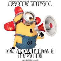 ACABOU A MOLEZAAABEM VINDA DE VOLTA AO TRABALHO !