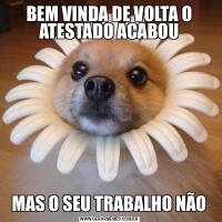 BEM VINDA DE VOLTA O ATESTADO ACABOUMAS O SEU TRABALHO NÃO