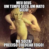 MEU DEUS 
UM TEMPO SECO, UM MATO SECO! ME SOLTA! 
PRECISO COLOCAR FOGO! 