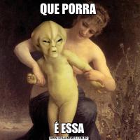 QUE PORRA É ESSA