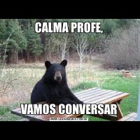 CALMA PROFE,VAMOS CONVERSAR