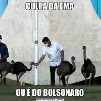 CULPA DA EMAOU É DO BOLSONARO