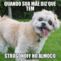 QUANDO SUA MÃE DIZ QUE TEMSTROGONOFF NO ALMOÇO