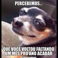 PERCEBEMOS...QUE VOCÊ VOLTOU FALTANDO UM MÊS PRO ANO ACABAR
