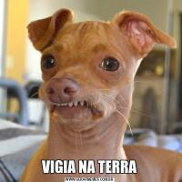 VIGIA NA TERRA