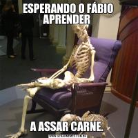 ESPERANDO O FÁBIO APRENDER A ASSAR CARNE. 