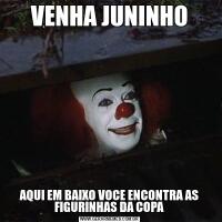 VENHA JUNINHOAQUI EM BAIXO VOCE ENCONTRA AS FIGURINHAS DA COPA