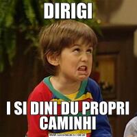DIRIGII SI DINI DU PROPRI CAMINHI