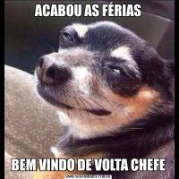 ACABOU AS FÉRIASBEM VINDO DE VOLTA CHEFE