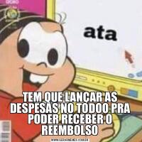 TEM QUE LANÇAR AS DESPESAS NO TODOO PRA PODER RECEBER O REEMBOLSO