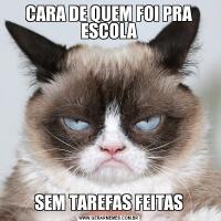 CARA DE QUEM FOI PRA ESCOLASEM TAREFAS FEITAS