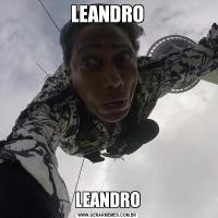 LEANDROLEANDRO