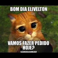 BOM DIA ELIVELTONVAMOS FAZER PEDIDO HOJE?