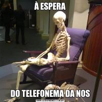À ESPERADO TELEFONEMA DA NOS