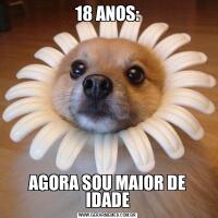 18 ANOS:AGORA SOU MAIOR DE IDADE