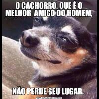 O CACHORRO, QUE É O MELHOR  AMIGO DO HOMEM, NÃO PERDE SEU LUGAR. 