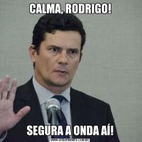 CALMA, RODRIGO!SEGURA A ONDA AÍ!