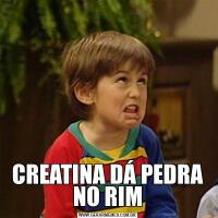 CREATINA DÁ PEDRA NO RIM