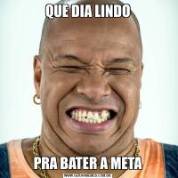 QUE DIA LINDOPRA BATER A META