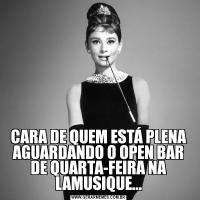 CARA DE QUEM ESTÁ PLENA AGUARDANDO O OPEN BAR DE QUARTA-FEIRA NA LAMUSIQUE...