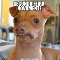 SEGUNDA FEIRA, NOVAMENTE