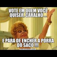 VOTE EM QUEM VOCÊ QUISER, CARALHO …E PARA DE ENCHER A PORRA DO SACO !!! 