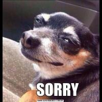       SORRY 