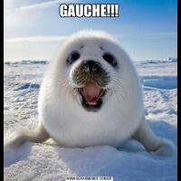 GAUCHE!!!
