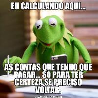 EU CALCULANDO AQUI...AS CONTAS QUE TENHO QUE PAGAR... SÓ PARA TER CERTEZA SE PRECISO VOLTAR.