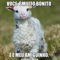 VOCE  É MUITO BONITO E É MEU AMIGUINHO. 