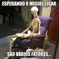 ESPERANDO O MIGUEL LIGARSÃO VÁRIOS FATORES...