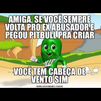 AMIGA, SE VOCÊ SEMPRE VOLTA PRO EX ABUSADOR E PEGOU PITBULL PRA CRIARVOCÊ TEM CABEÇA DE VENTO SIM