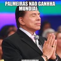 PALMEIRAS NAO GANHHA MUNDIAL    