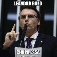 LEANDRO BOZOCHUPA ESSA