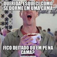 QUERIDA, ESQUECI COMO SE DORME EM UMA CAMAFICO DEITADO OU EM PÉ NA CAMA? 