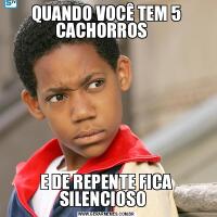 QUANDO VOCÊ TEM 5 CACHORROS   E DE REPENTE FICA SILENCIOSO  