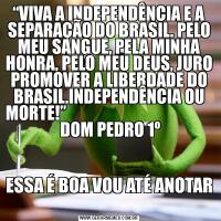 “VIVA A INDEPENDÊNCIA E A SEPARAÇÃO DO BRASIL. PELO MEU SANGUE, PELA MINHA HONRA, PELO MEU DEUS, JURO PROMOVER A LIBERDADE DO BRASIL.INDEPENDÊNCIA OU MORTE!”                                              DOM PEDRO 1ºESSA É BOA VOU ATÉ ANOTAR 